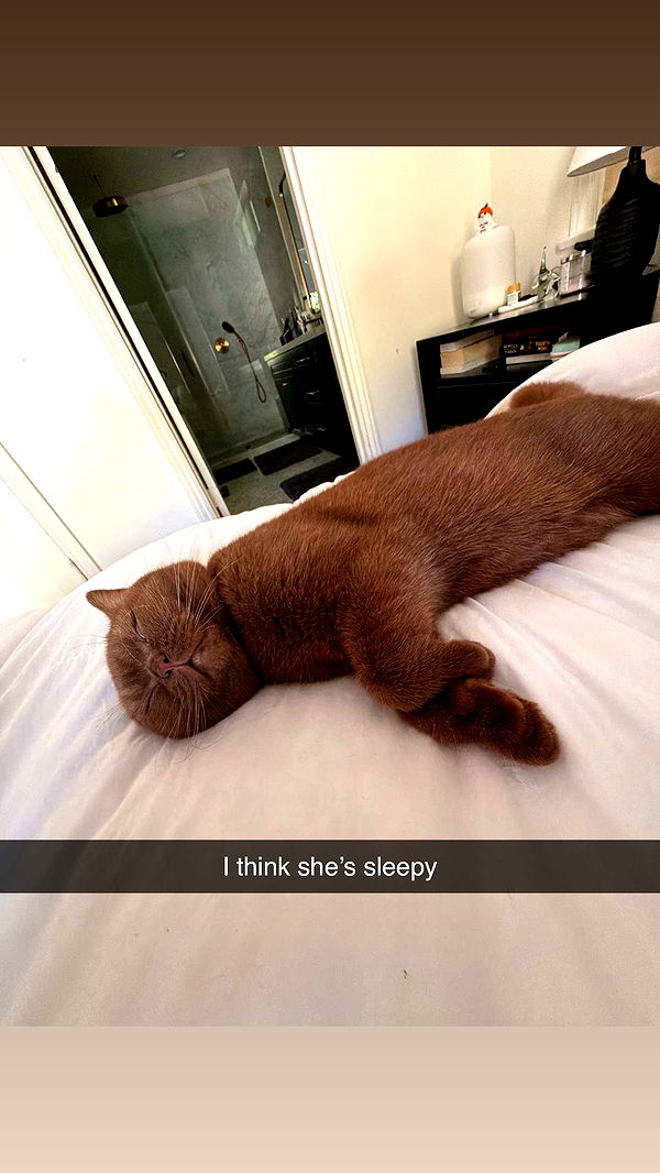 skilahblue image ~ Altpins