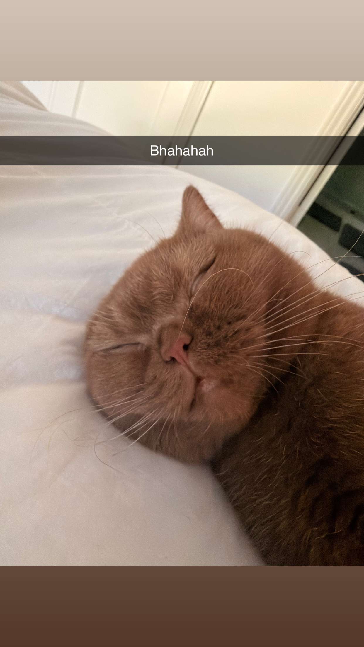 skilahblue snapchat image archive image