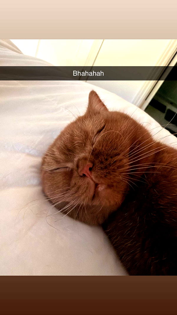 skilahblue image ~ Altpins