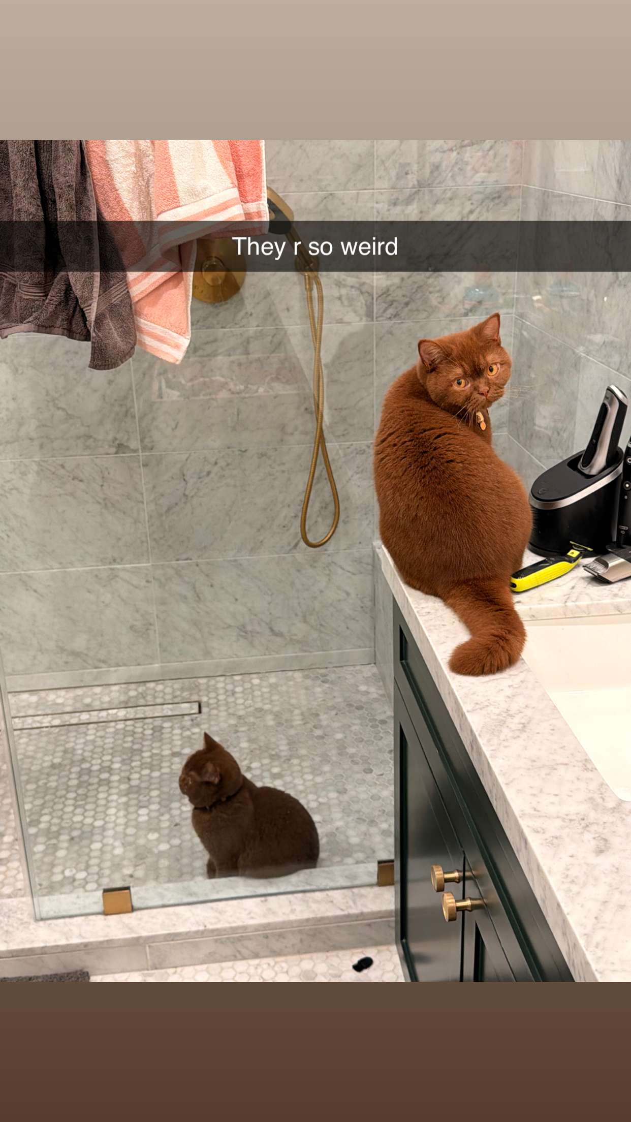 skilahblue snapchat image archive image