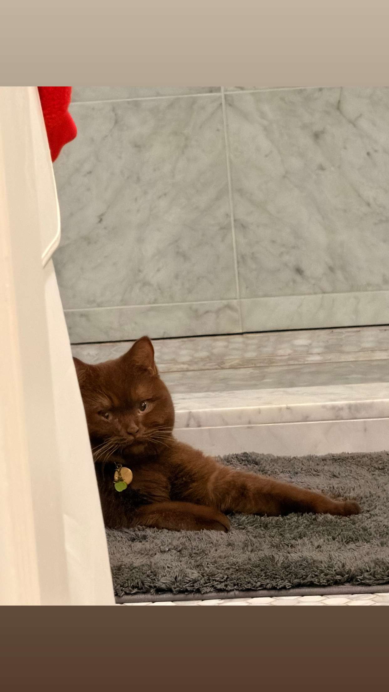 skilahblue snapchat image archive image