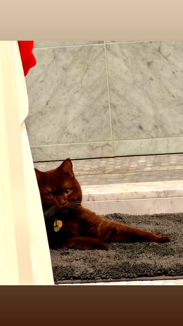 skilahblue image ~ Altpins