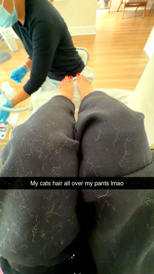 skilahblue image ~ Altpins