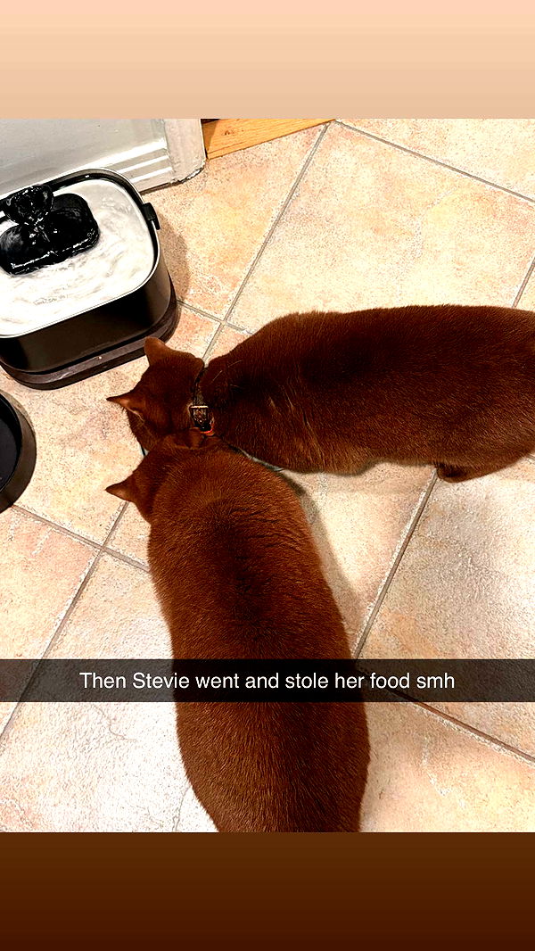 skilahblue image ~ Altpins