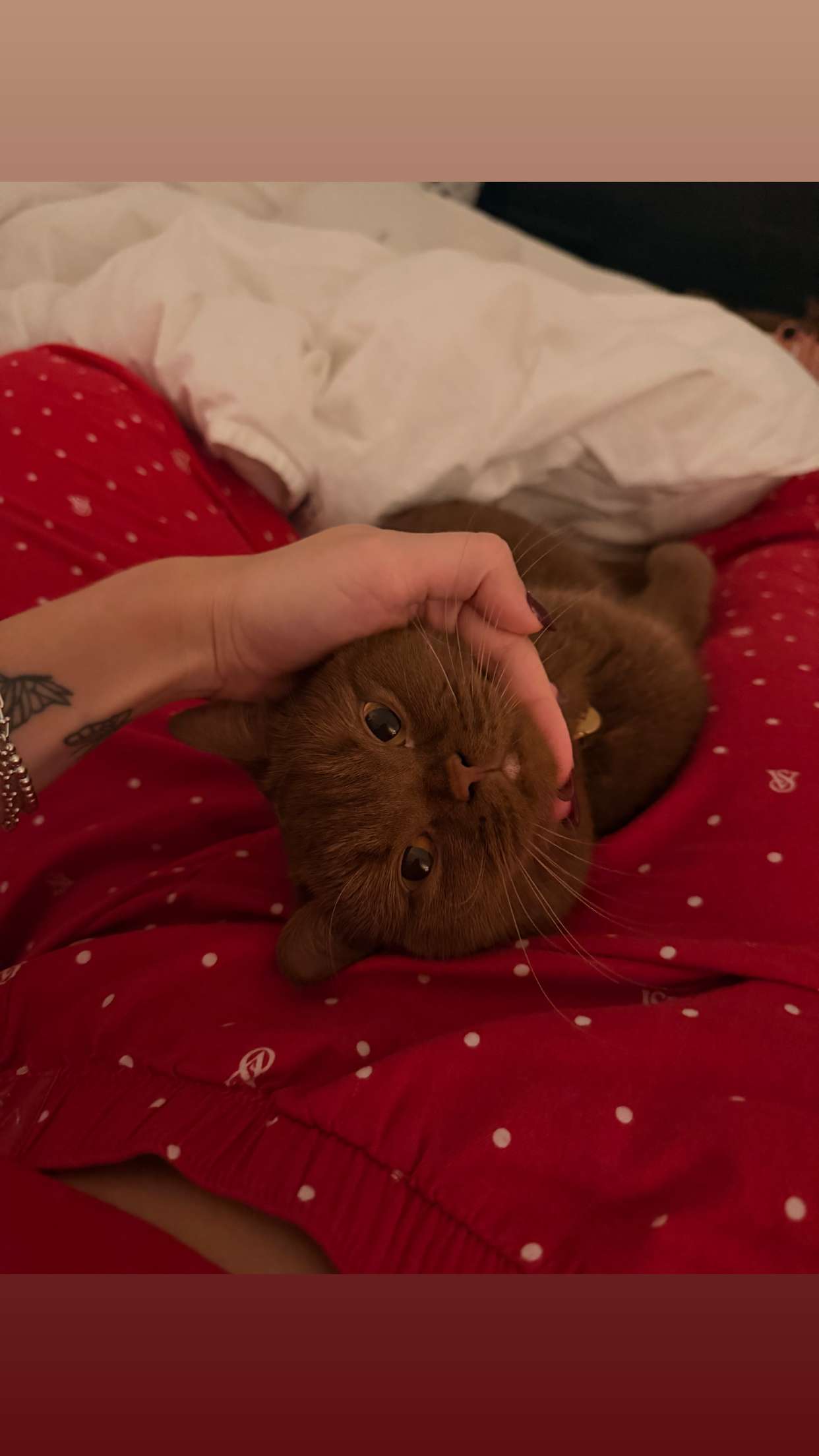 skilahblue snapchat image archive image