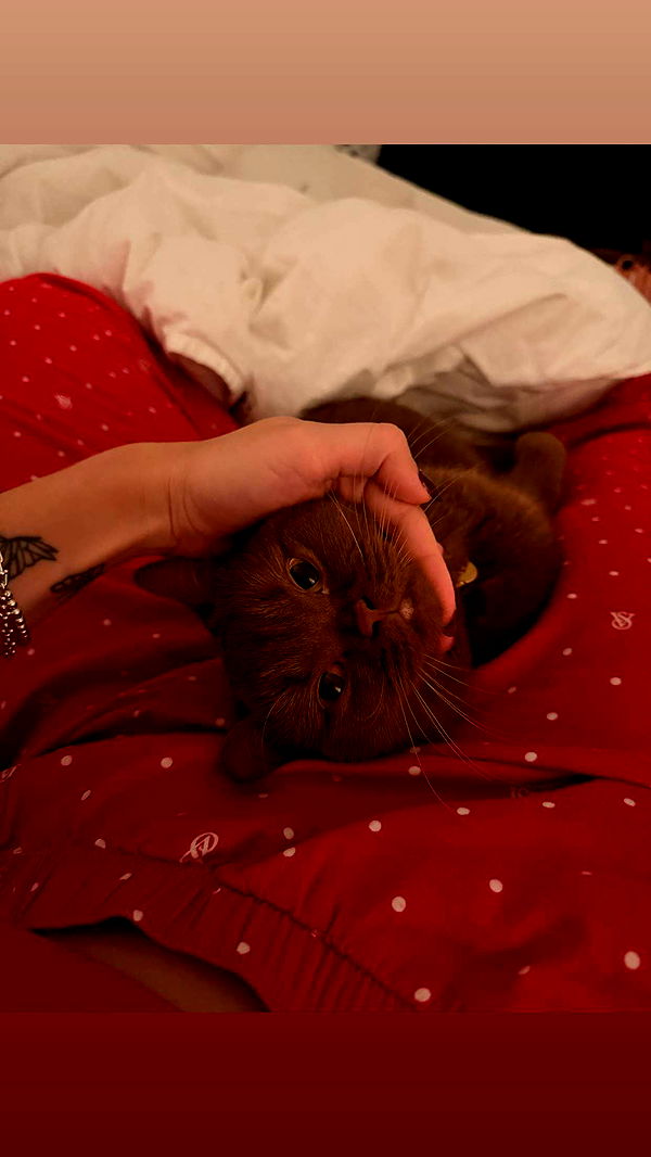 skilahblue image ~ Altpins