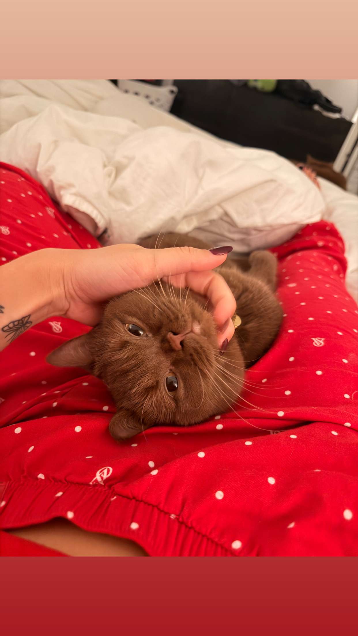 skilahblue snapchat image archive image