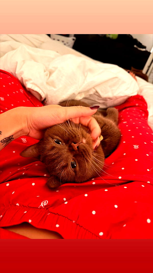 skilahblue image ~ Altpins