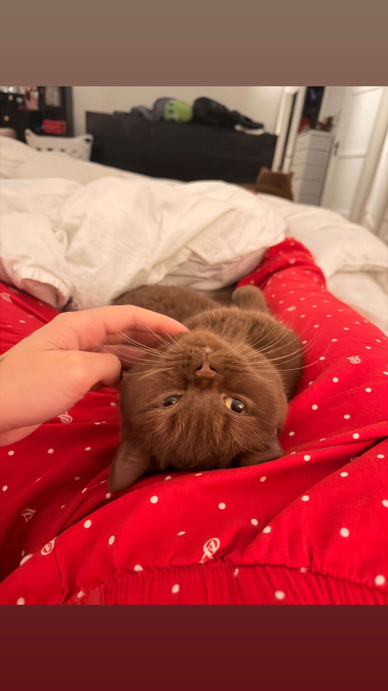 skilahblue snapchat image archive image