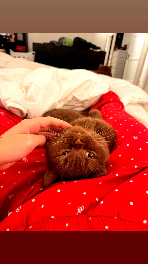 skilahblue image ~ Altpins