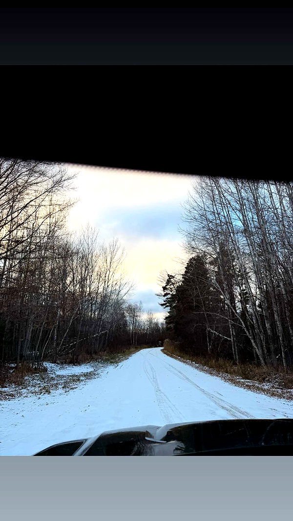 skilahblue image ~ Altpins