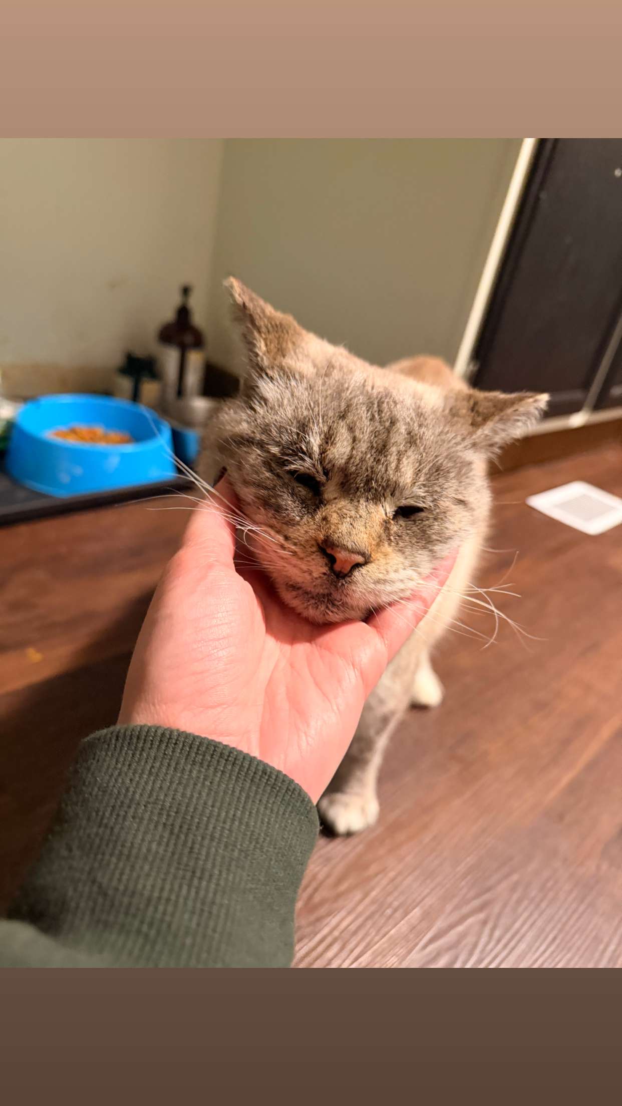 skilahblue snapchat image archive image