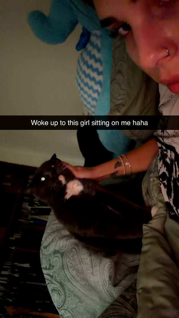 skilahblue image ~ Altpins