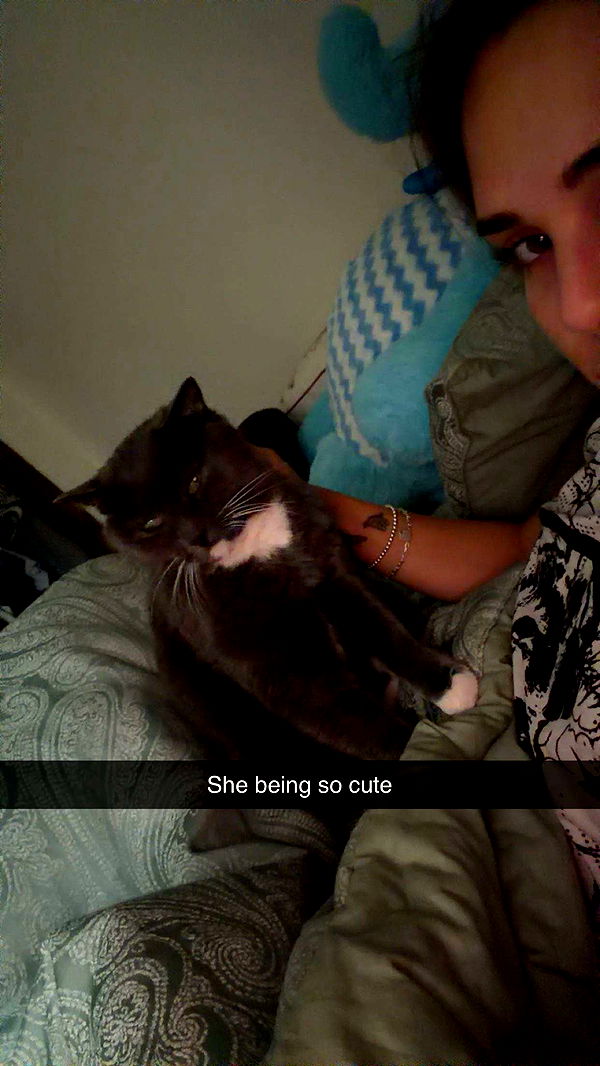 skilahblue image ~ Altpins