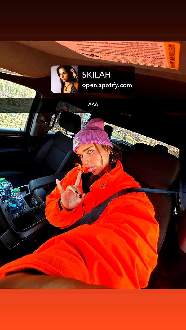 skilahblue image ~ Altpins