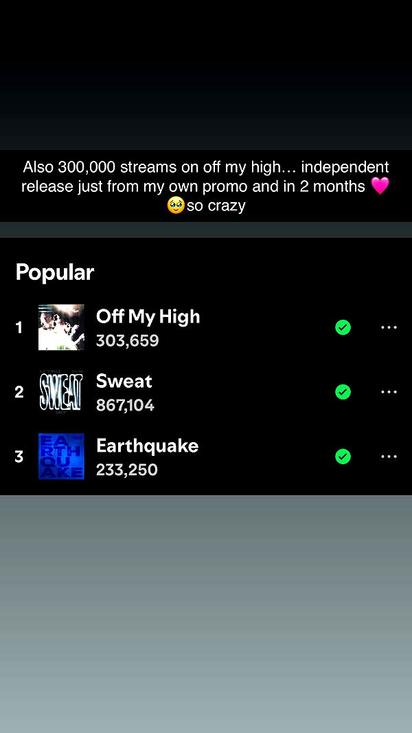 skilahblue image ~ Altpins