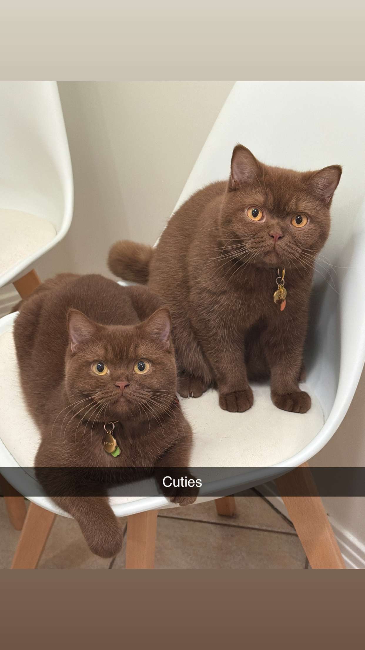 skilahblue snapchat image archive image