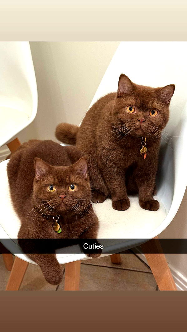 skilahblue image ~ Altpins