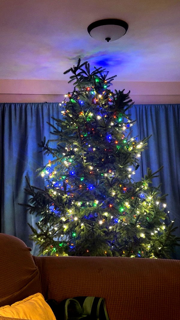 skilahblue image ~ Altpins