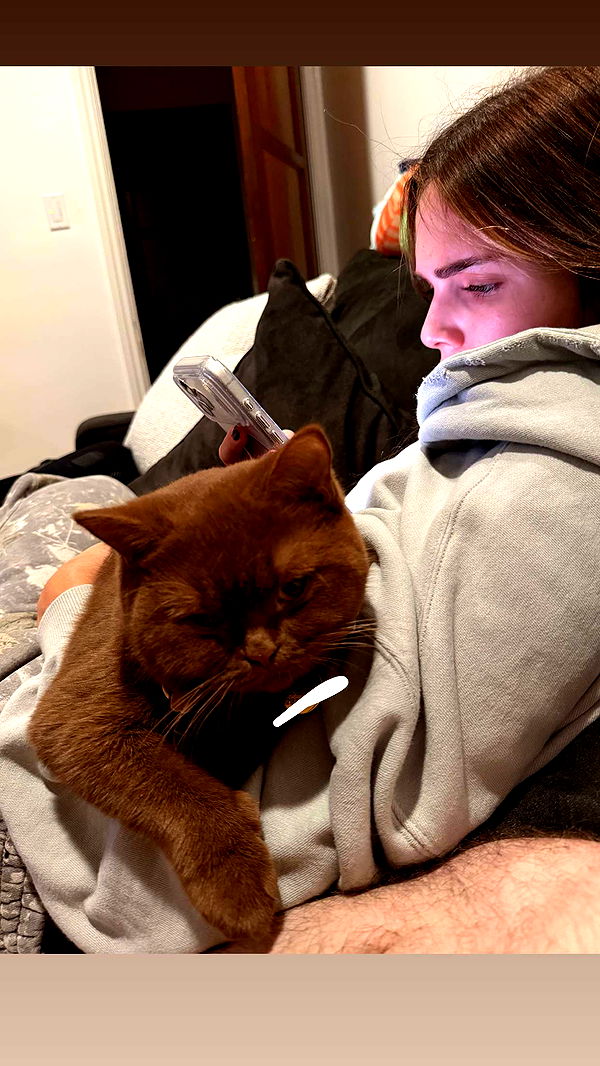 skilahblue image ~ Altpins