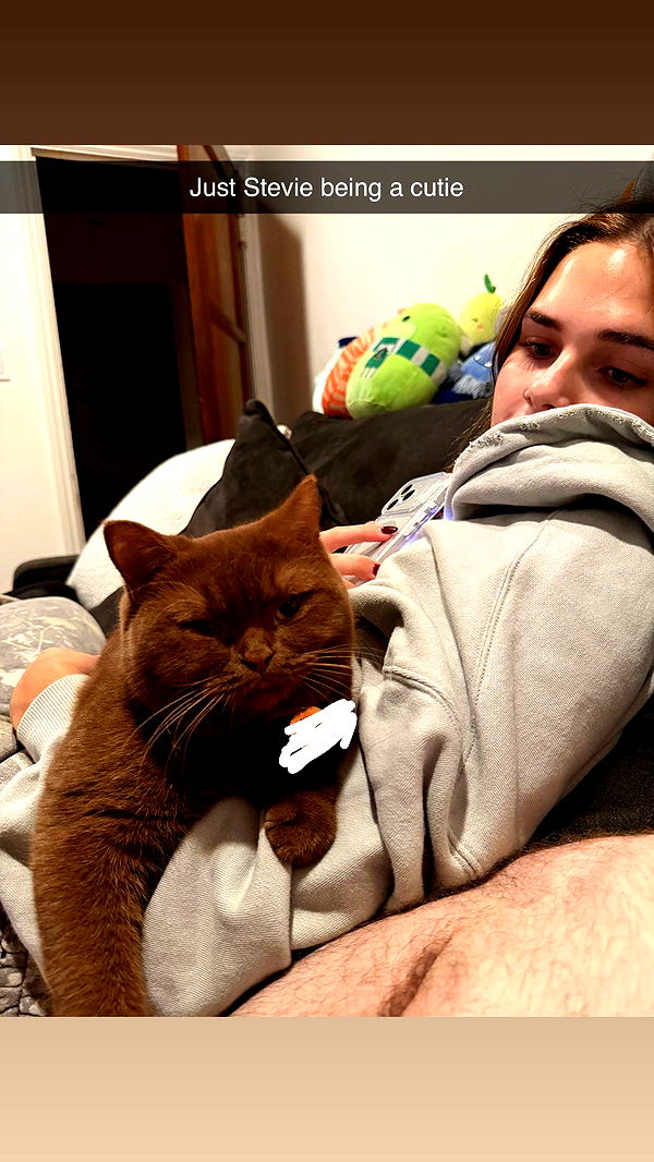 skilahblue image ~ Altpins