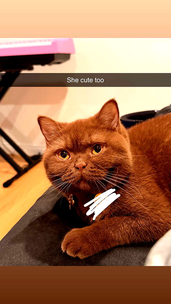 skilahblue image ~ Altpins