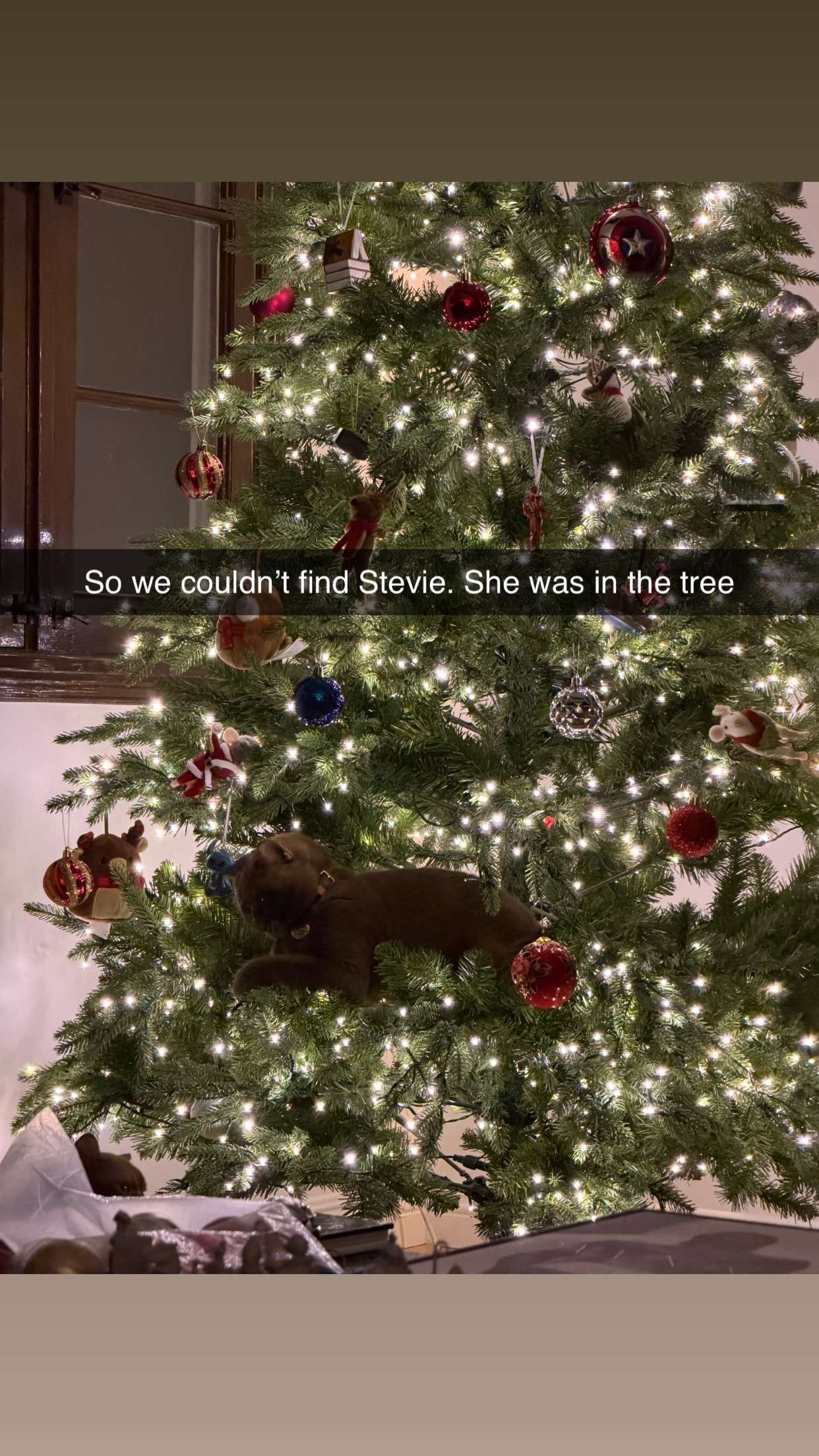 skilahblue snapchat image archive image