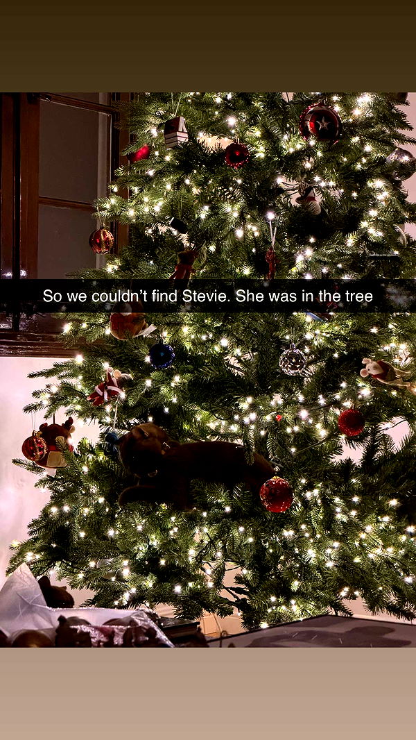 skilahblue image ~ Altpins