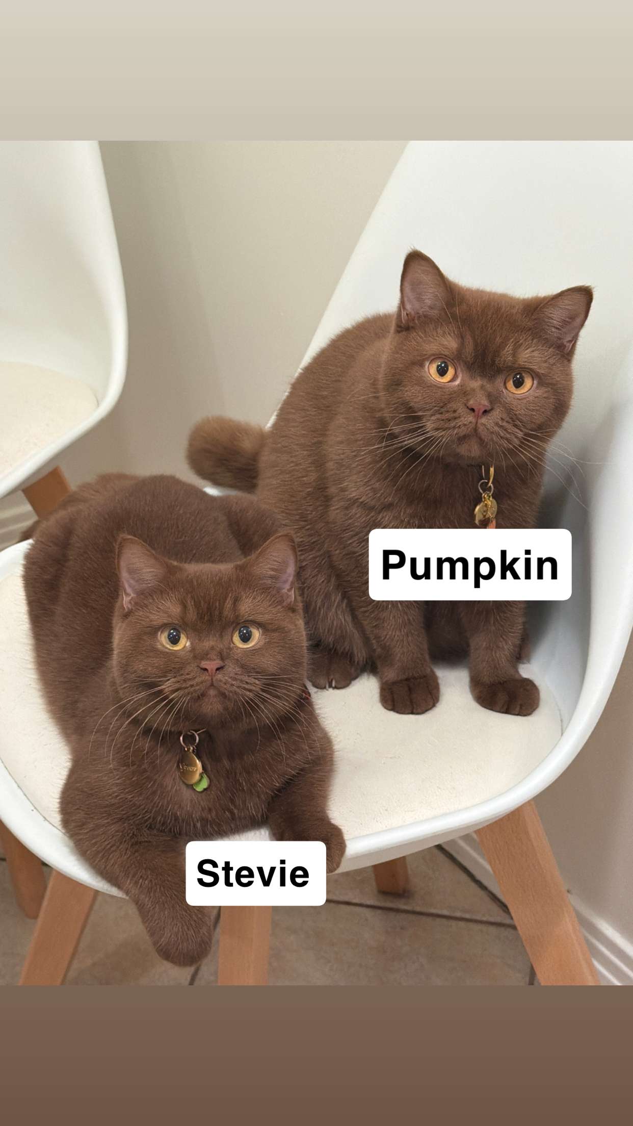 skilahblue snapchat image archive image