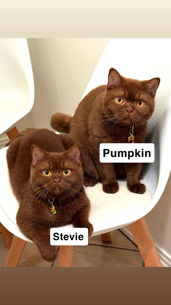 skilahblue image ~ Altpins