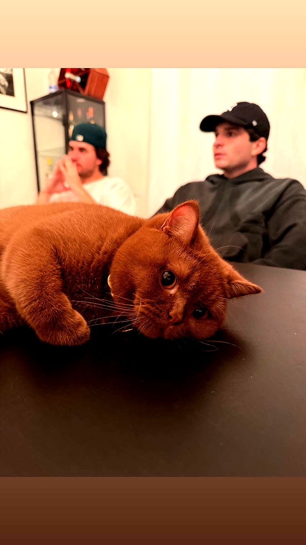 skilahblue image ~ Altpins