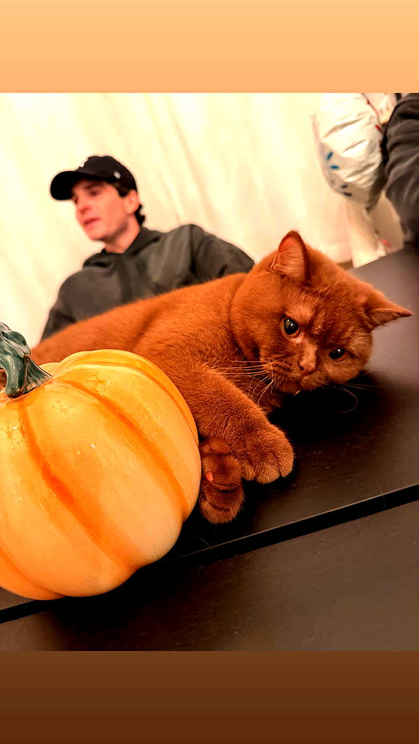 skilahblue image ~ Altpins