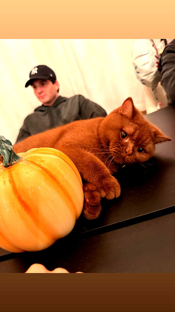 skilahblue image ~ Altpins