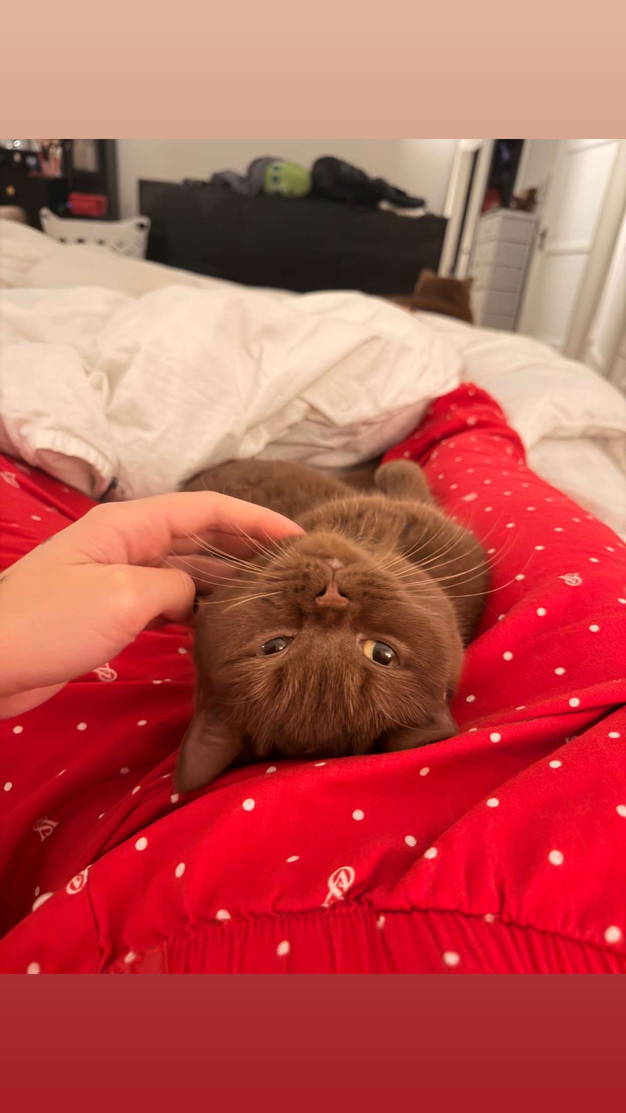 skilahblue snapchat image archive image