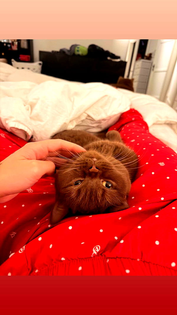 skilahblue image ~ Altpins