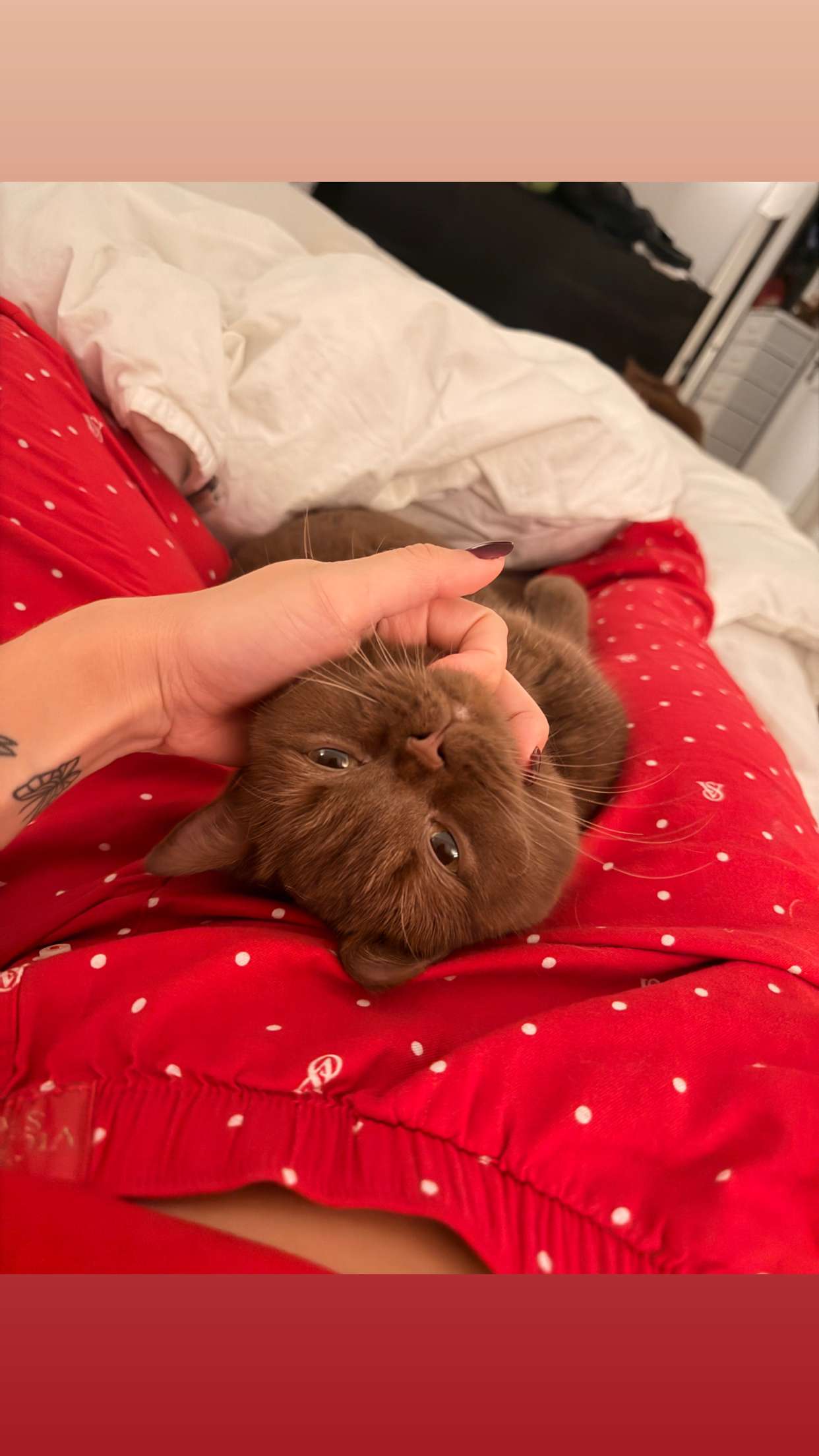 skilahblue snapchat image archive image