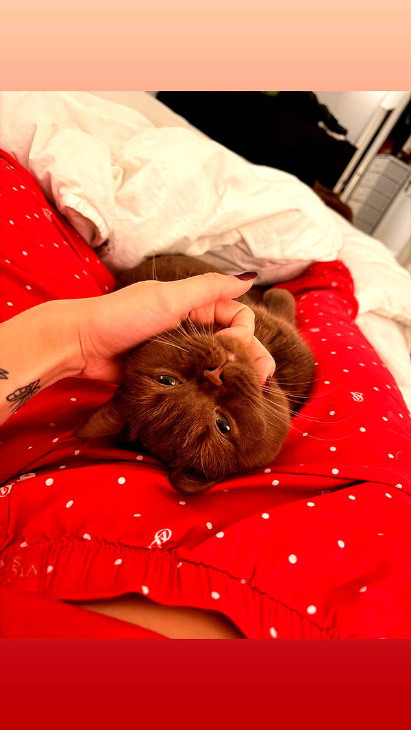 skilahblue image ~ Altpins