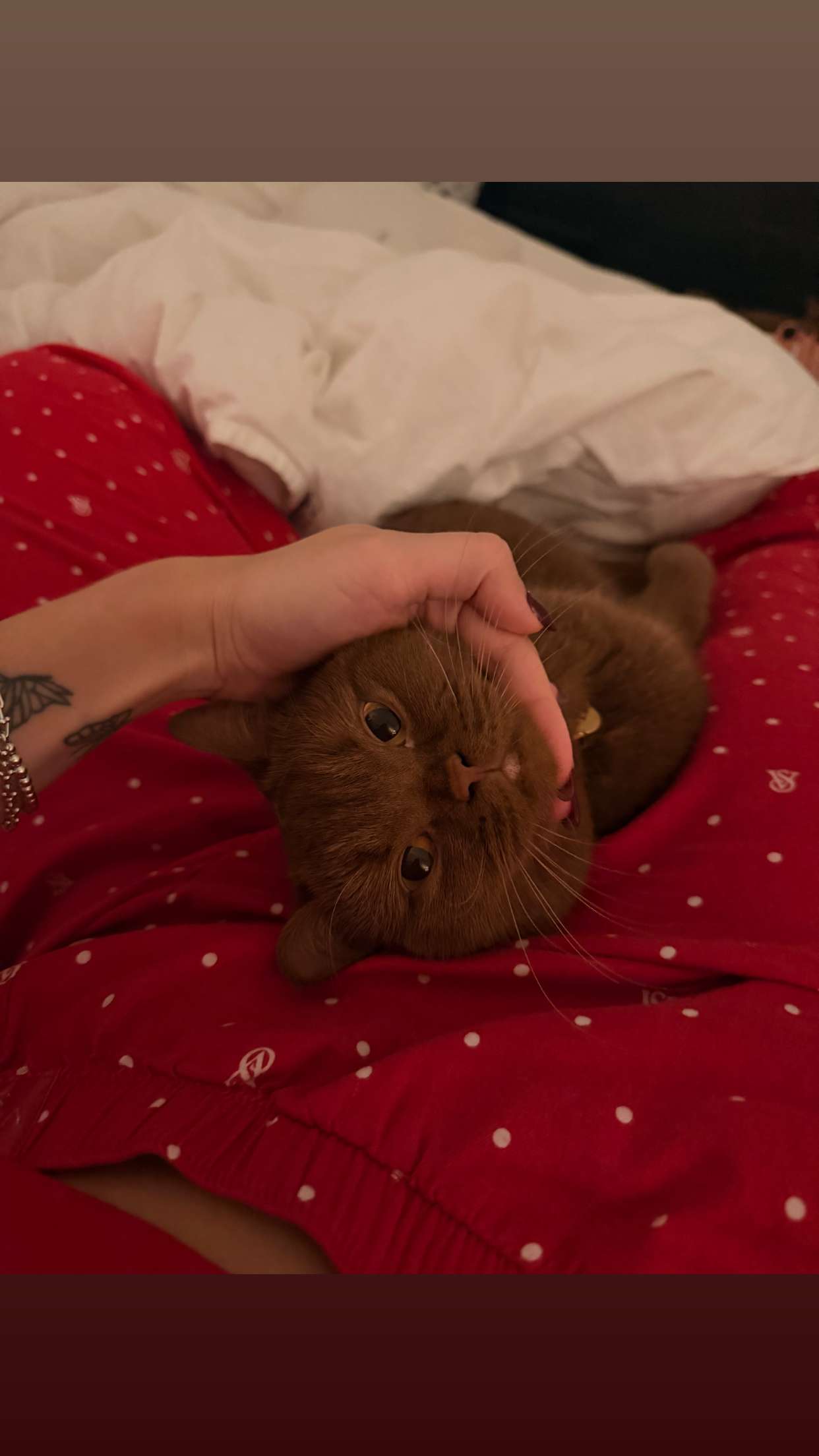 skilahblue snapchat image archive image