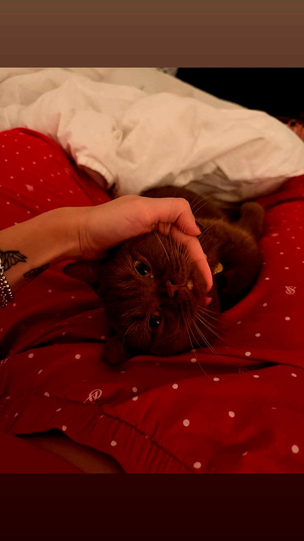 skilahblue image ~ Altpins