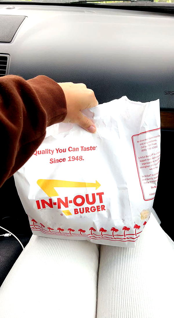 soph4ocean image ~ Altpins