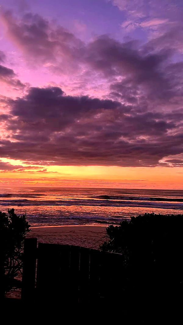 soph4ocean image ~ Altpins