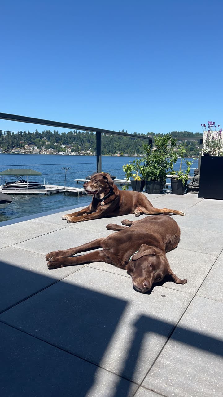 soph4ocean snapchat image archive image