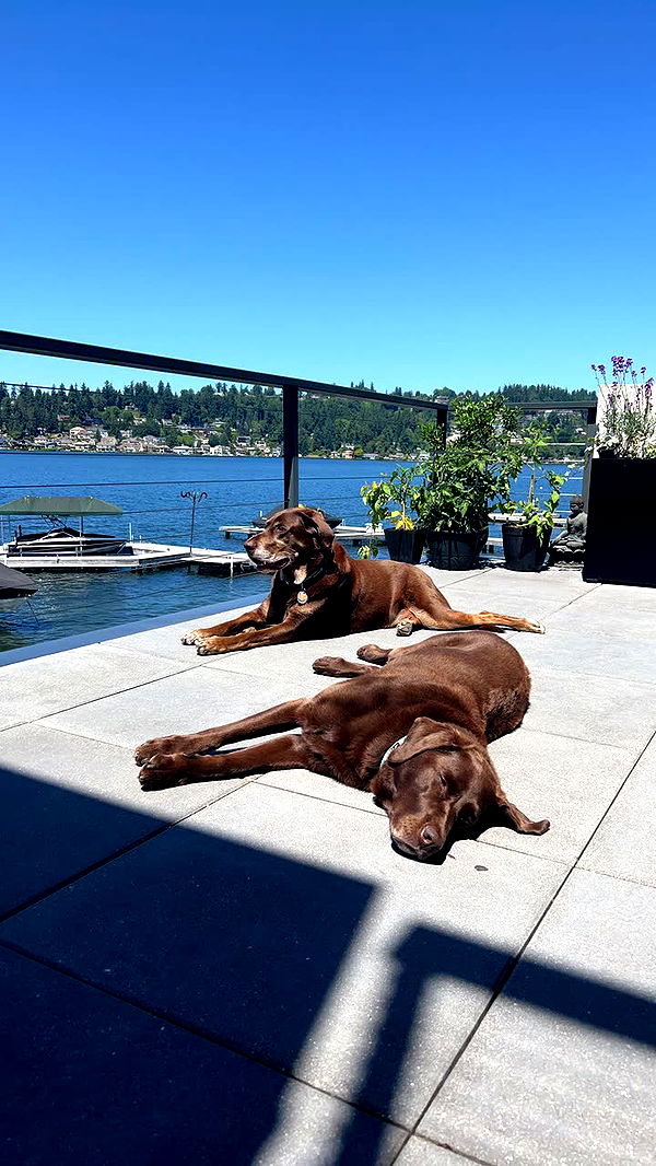 soph4ocean image ~ Altpins