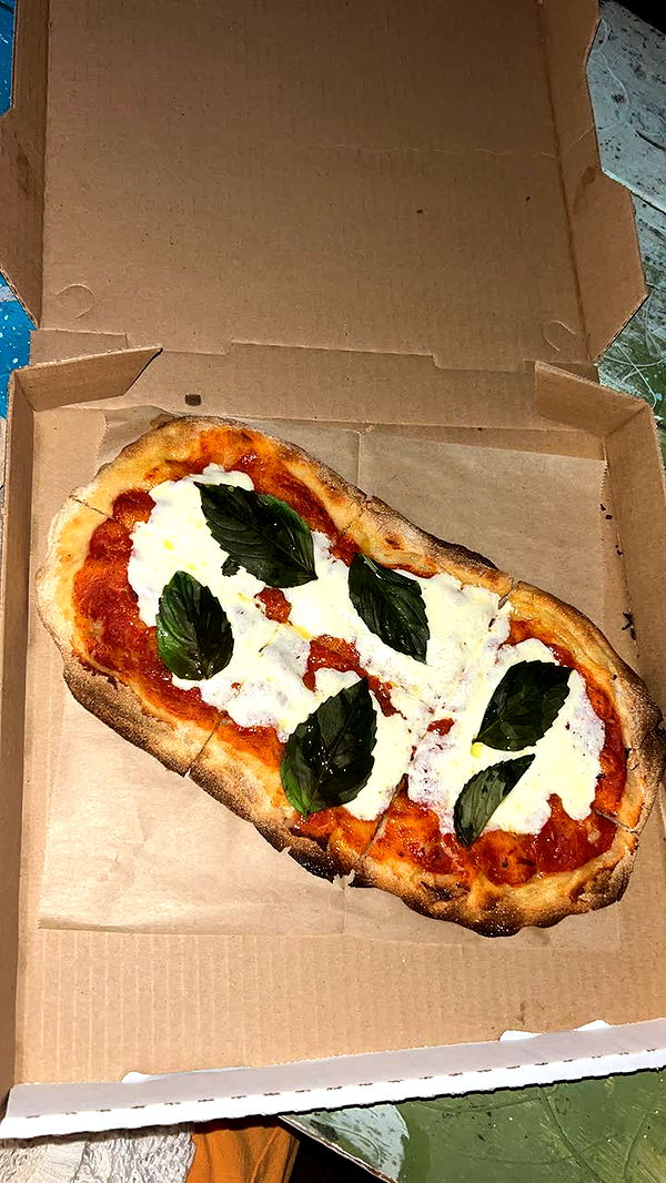 soph4ocean image ~ Altpins