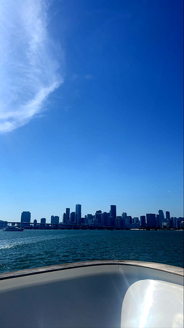 soph4ocean image ~ Altpins