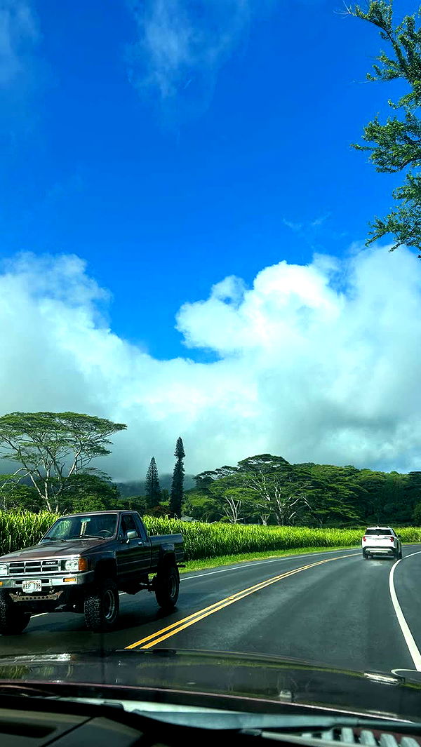 soph4ocean image ~ Altpins