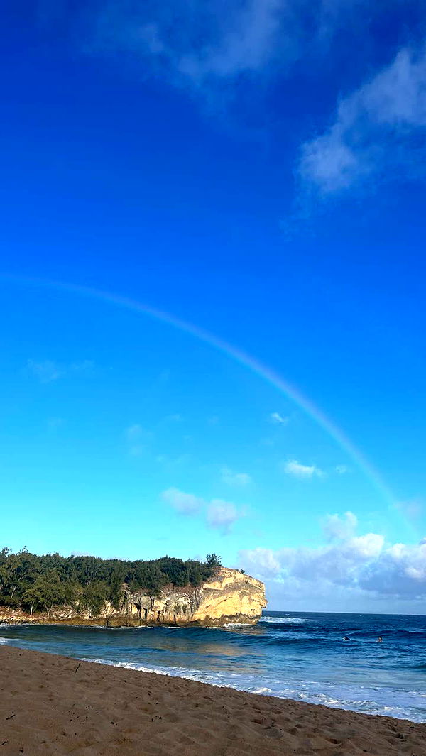 soph4ocean image ~ Altpins