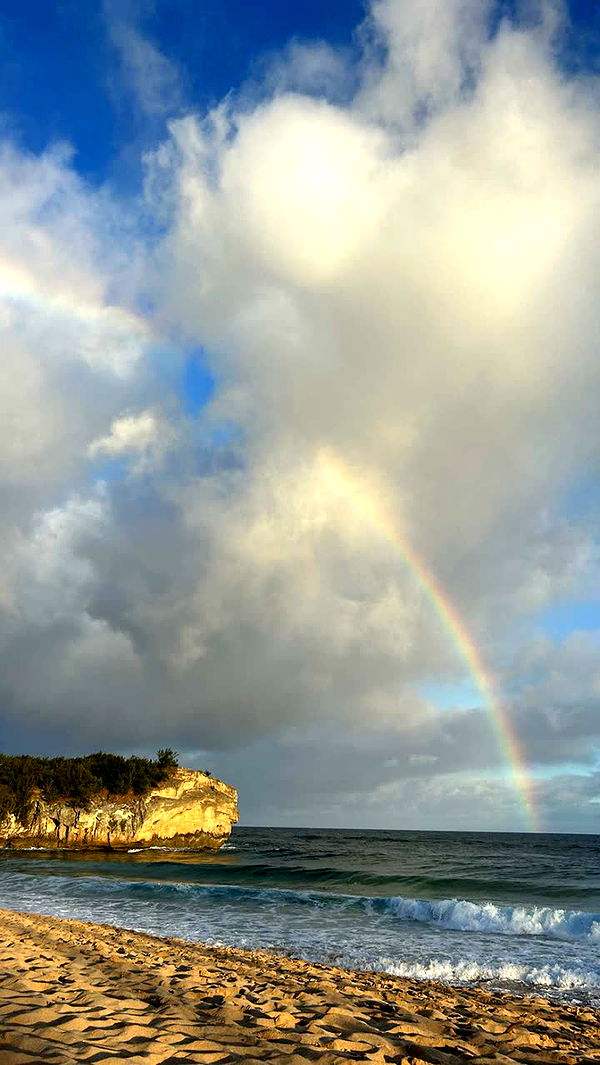 soph4ocean image ~ Altpins