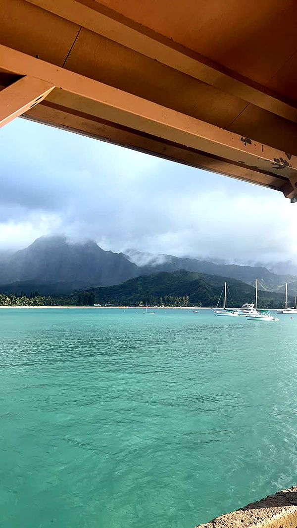 soph4ocean image ~ Altpins