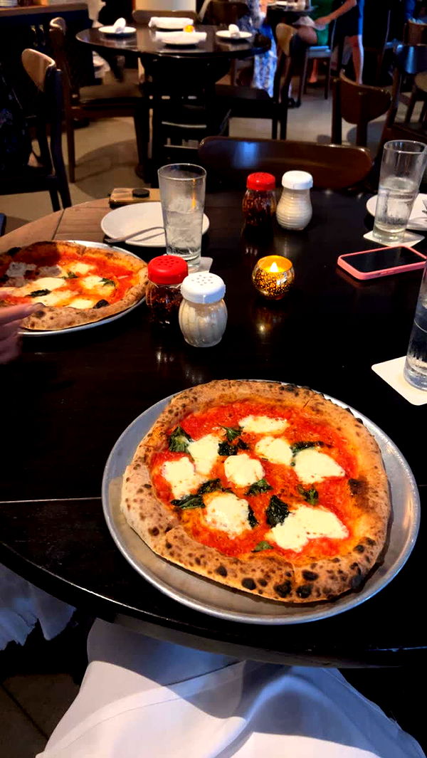 soph4ocean image ~ Altpins